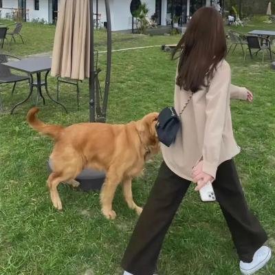 菩提树